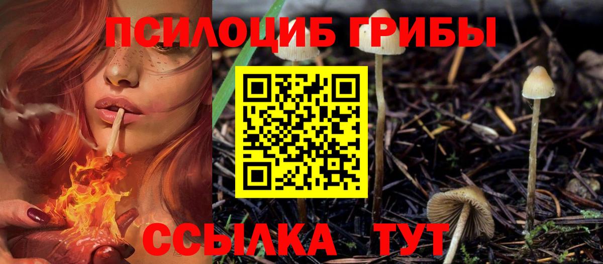 Галлюциногенные грибы GOLDEN TEACHER  Псилоцибиновые грибы прущие грибы  Вход с VPN  Ливны 