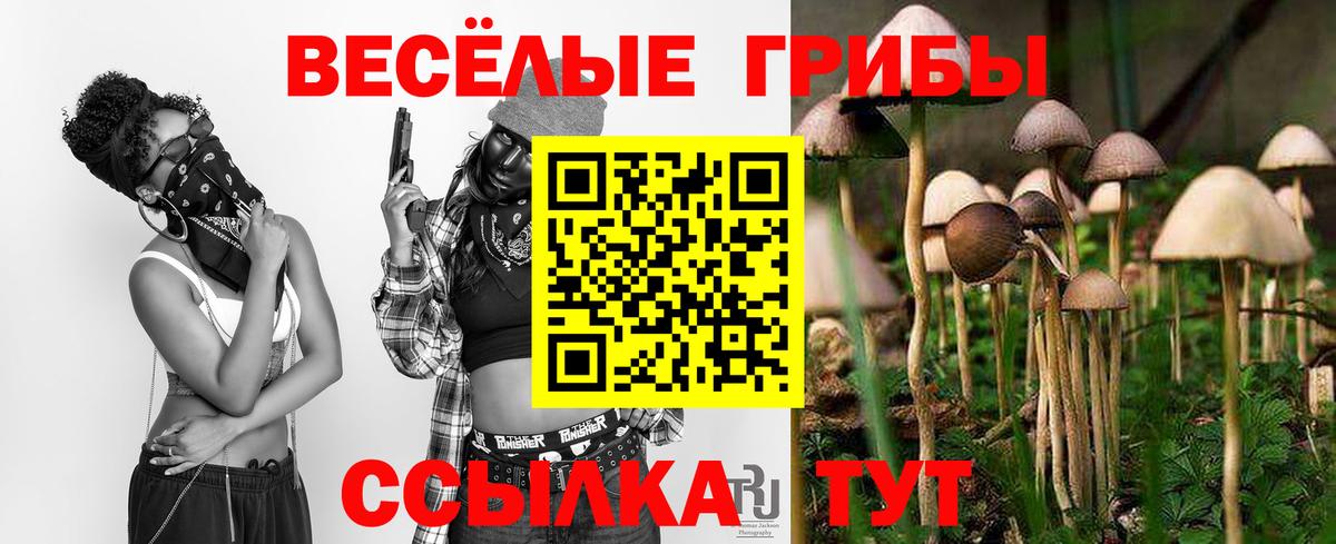 Галлюциногенные грибы GOLDEN TEACHER Ливны